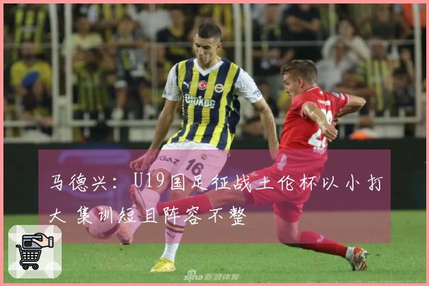马德兴:U19国足征战土伦杯以小打大 集训短且阵容不整
